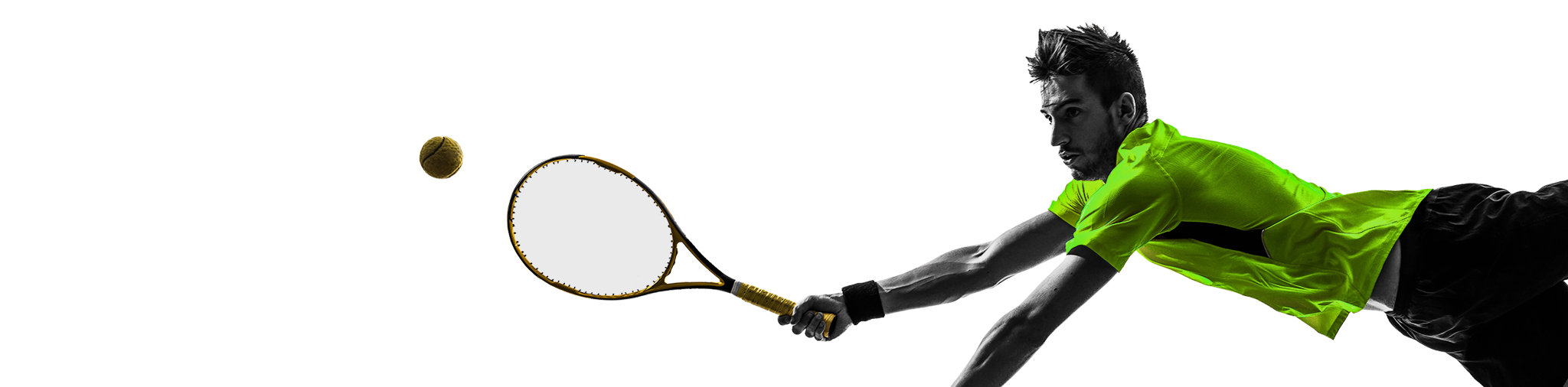 https://demowp.introwebdev.net/wp-content/uploads/2017/12/inner_player.png